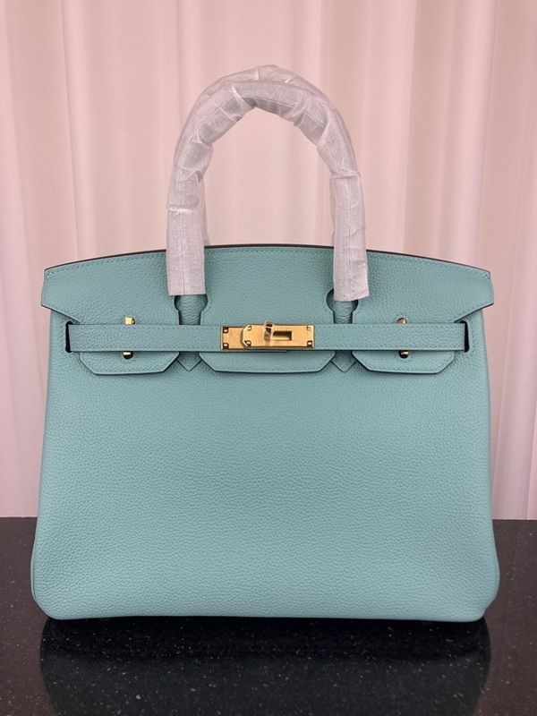 Hermes Handbags 39